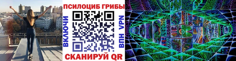 площадка как зайти  Рославль  Псилоцибиновые грибы Psilocybe 